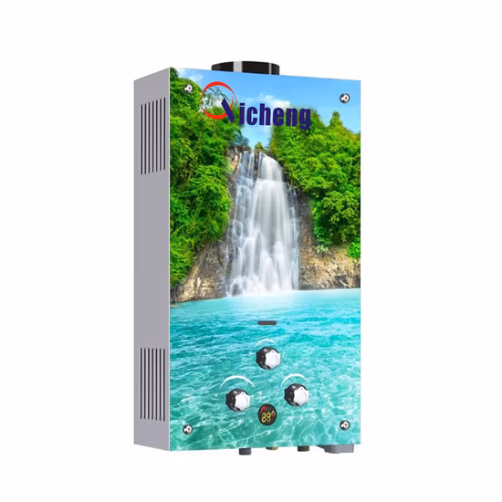 Proveedor chino de electrodomésticos10L Tipo de chimenea montado en la pared Panel de vidrio personalizado Venta caliente Calentador de agua a gas instantáneo sin tanque para baño